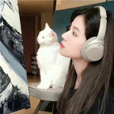 傲娇与偏见